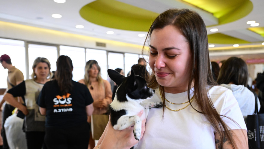 נתונים עצובים של עמותת SOS