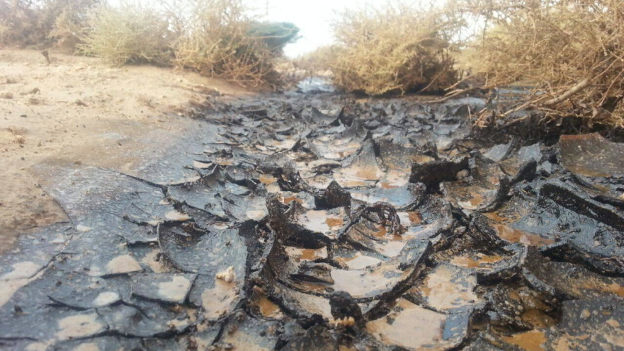 הבוקר שאחרי הדליפה בשטח שמורת הטבע עברונה