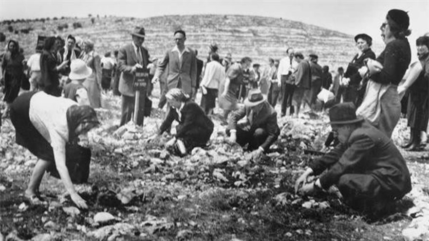 יער קדושים