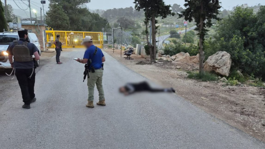 ניסיון פיגוע בישוב נגוהות
