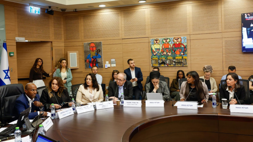 הדיון באלימות בני הנוער בוועדת החינוך בכנסת