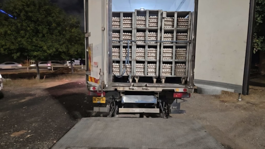 סוכלה הברחה של 73,440 ביצים עם חותמת מזויפת מיו"ש