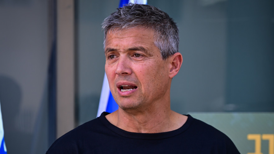 יועז הנדל