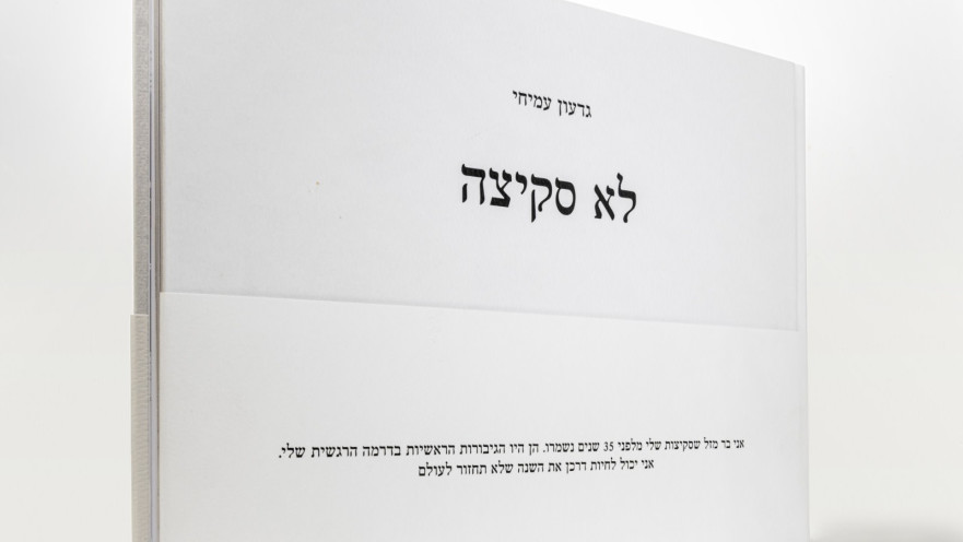 לא סקיצה