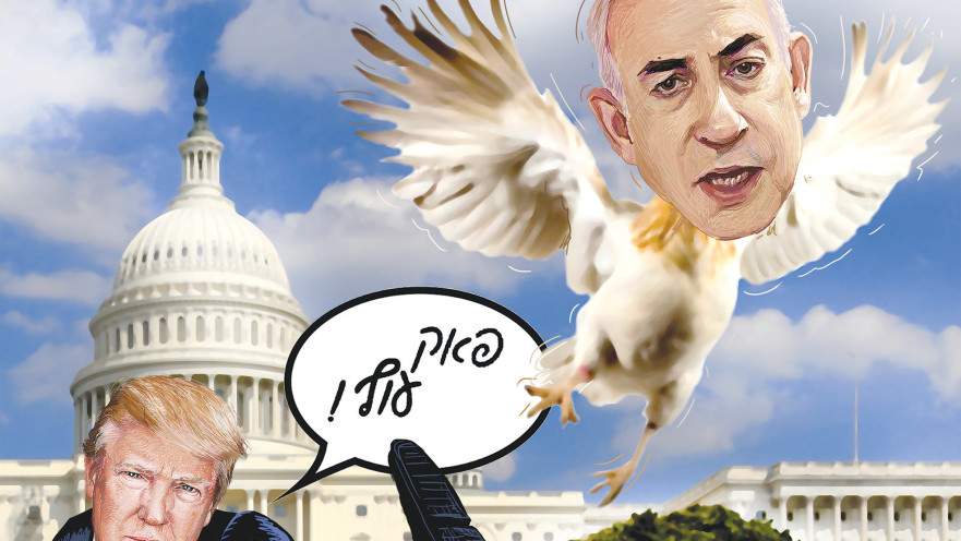 הטור של נתן זהבי