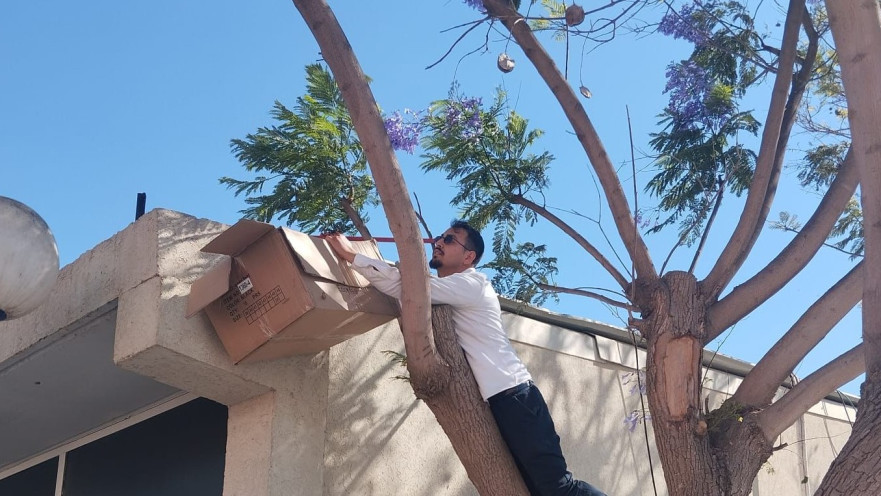 אריאל עידן מחלץ גור חתולים