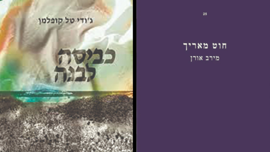 חוט מאריך, כביסה לבנה - כריכת הספרים