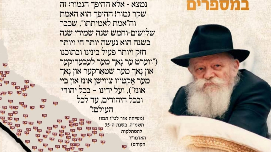 נתוני ארגון "צעירי אגודת חב"ד" (צא"ח)