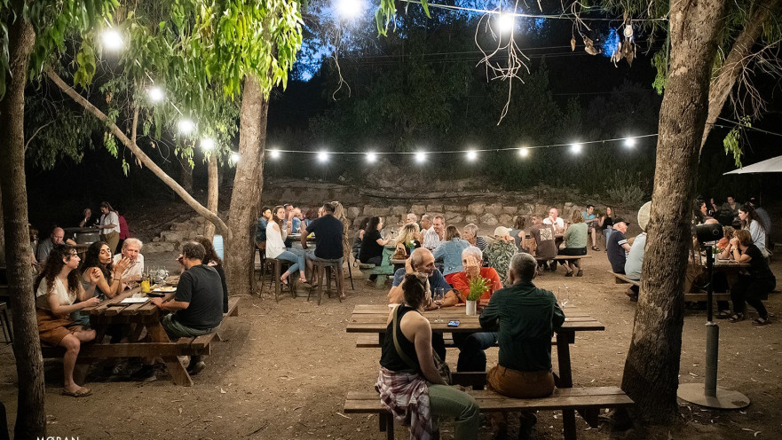 פסטיבל "קולנוע בין הכרמים" יתקיים לראשונה במשק אופיר באלון הגליל