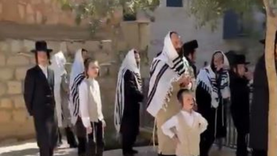 תיעוד ההפגנות מקפה הסמטה
