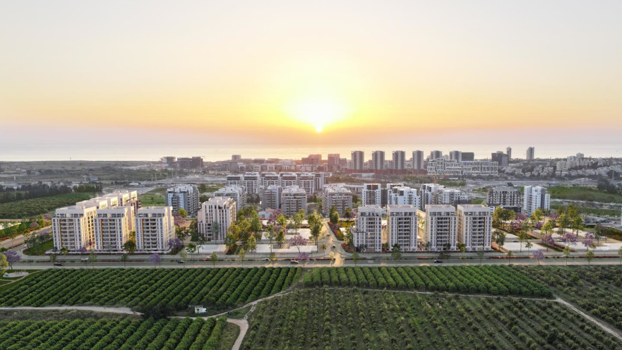 פרויקט לאב. גינדי החזקות