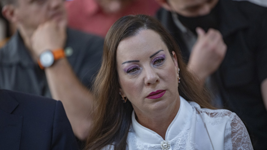 טלי גוטליב