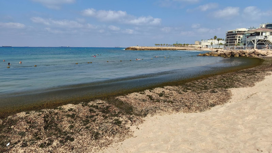 חוף בת גלים
