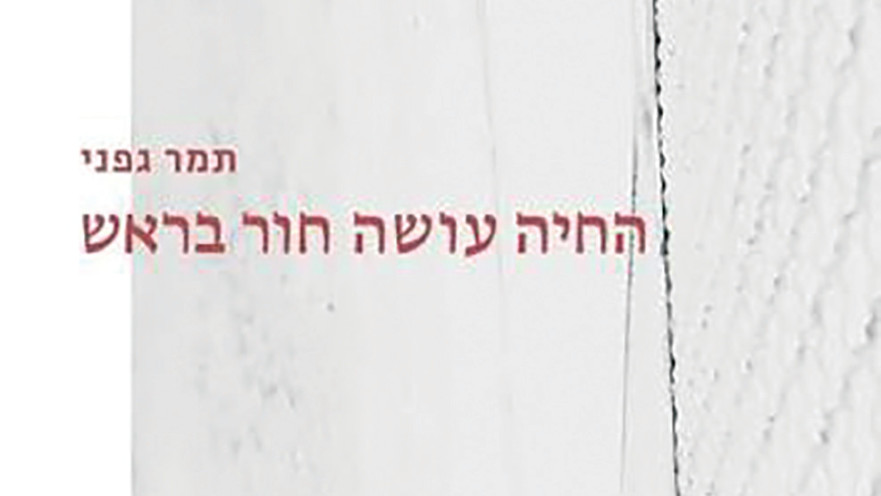 כריכת הספר "החיה עושה לי חור בראש" מאת תמר גפני