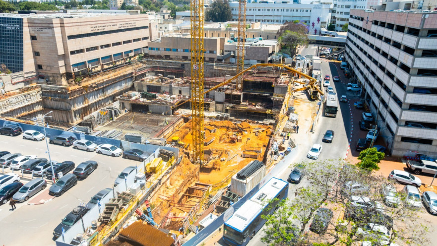מבנה הנהלה ופגיה שלבים ראשונים 