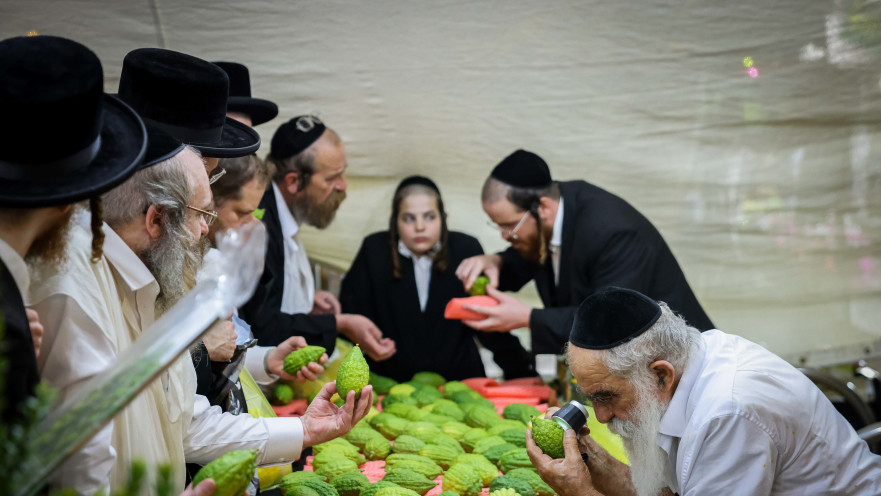 שוק ארבעת המינים