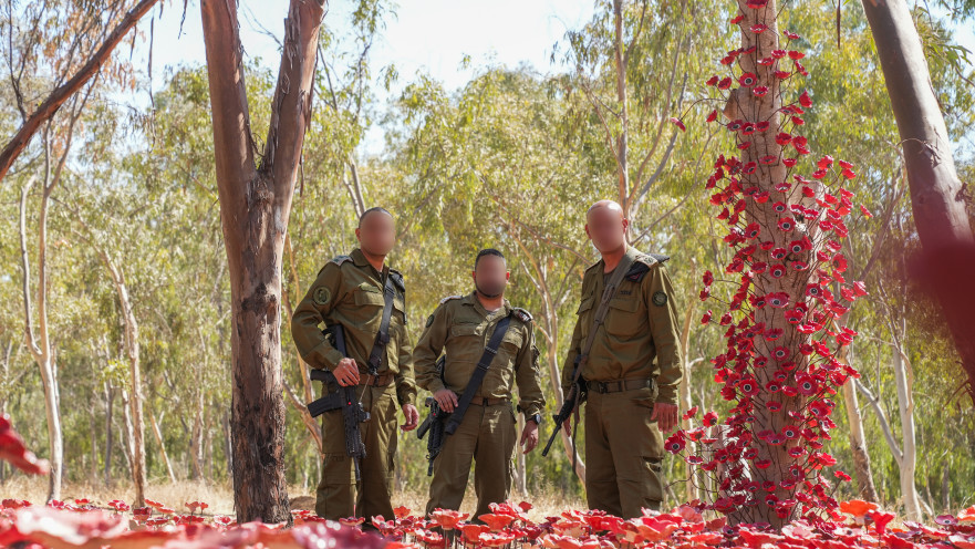 מפקדי מל"י