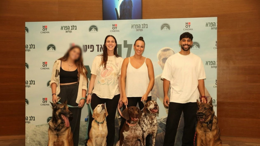 לוחמי עוקץ בקולנוע