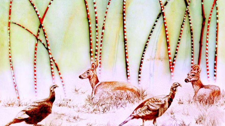 תרנגולי הודי ואיילים במיין. איור