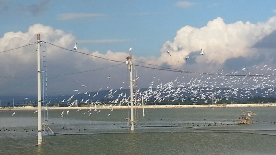 גשם בעמק המעיינות