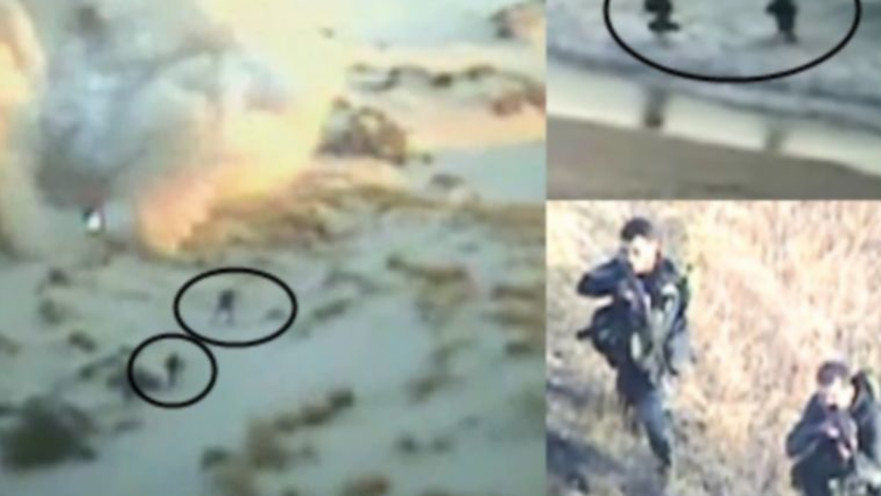 סיכול חדירה מזיקים