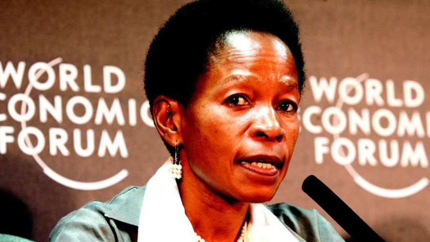 אנה טיבייג'וקה