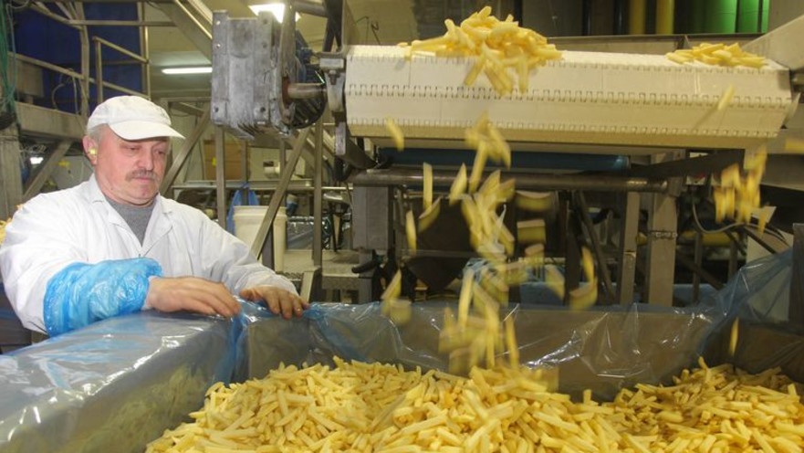 מפעל פרי גליל