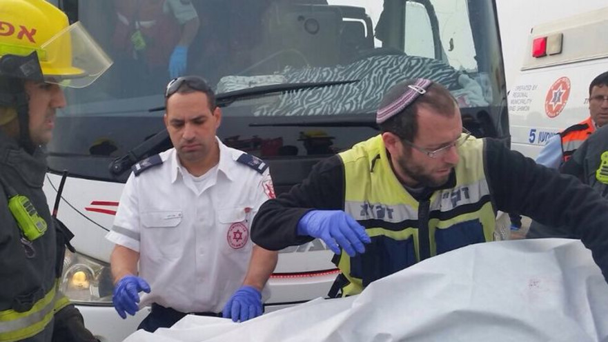 פינוי ההרוגים בתאונה בכביש 31