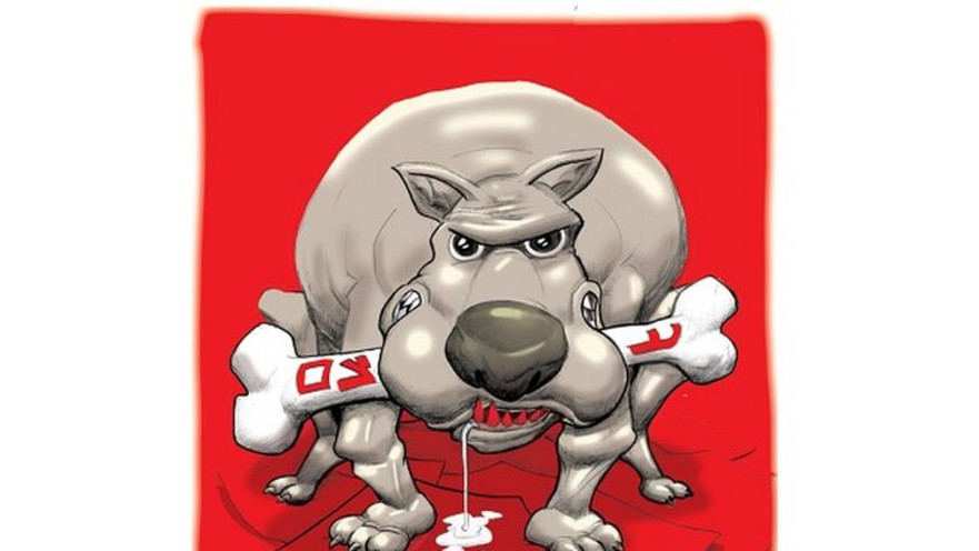 כל כלב ביג'י יומו