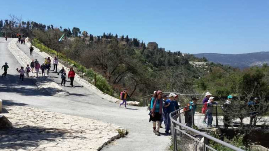 מטיילים ביער תכלת