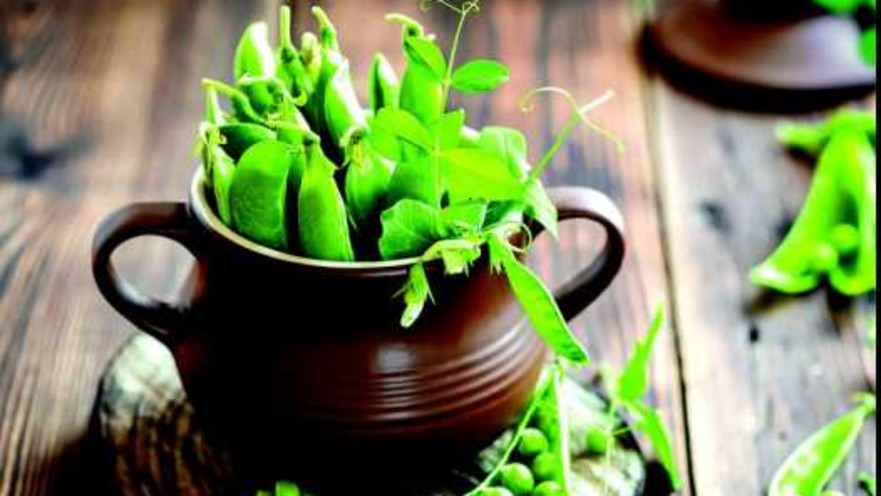 ירקות ירוקים 