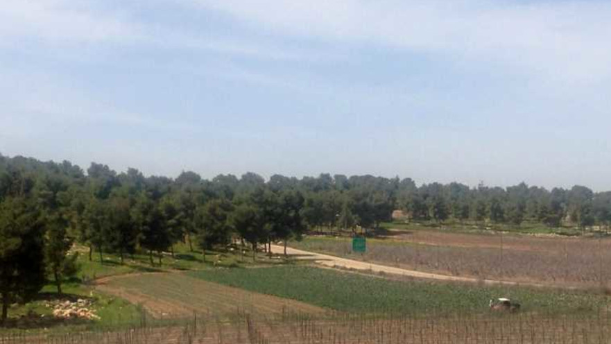 מפת דרכים ביער יתיר