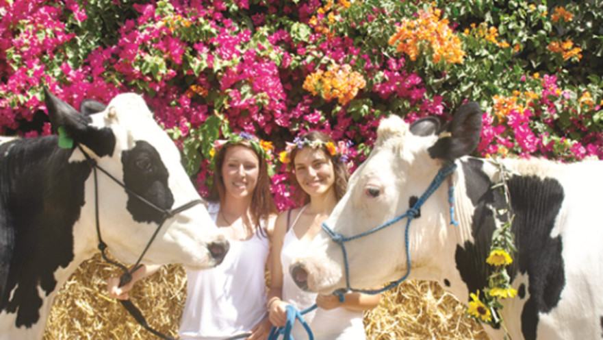 חג שבועות בבאר טוביה