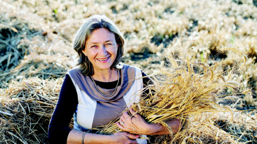 חגיגה בלבן בחבל מודיעין