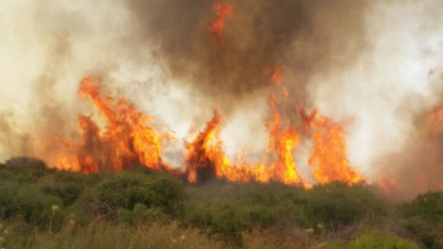 שריפה בעקבות השרב