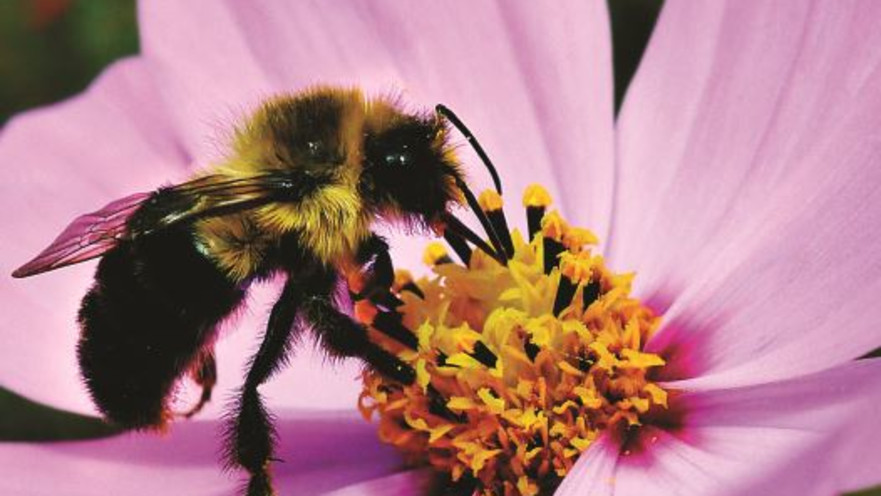 המאכל שגורם לכם להשמין ואתם לא שמים לב | ד״ר מאיה רוזמן