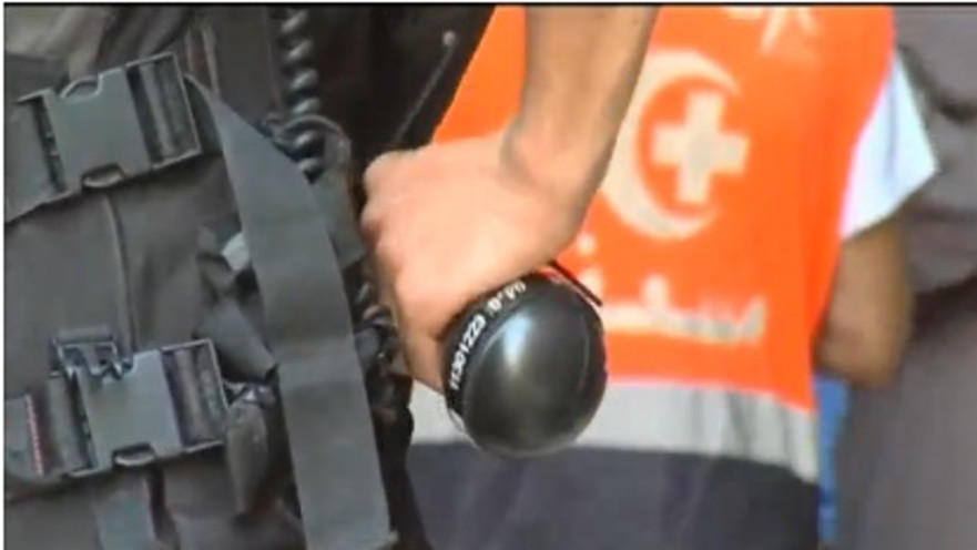 רימון הלם (ארכיון), 