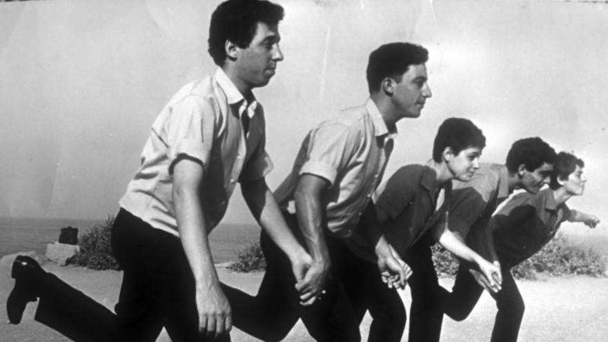 התרנגולים של נעמי פולני