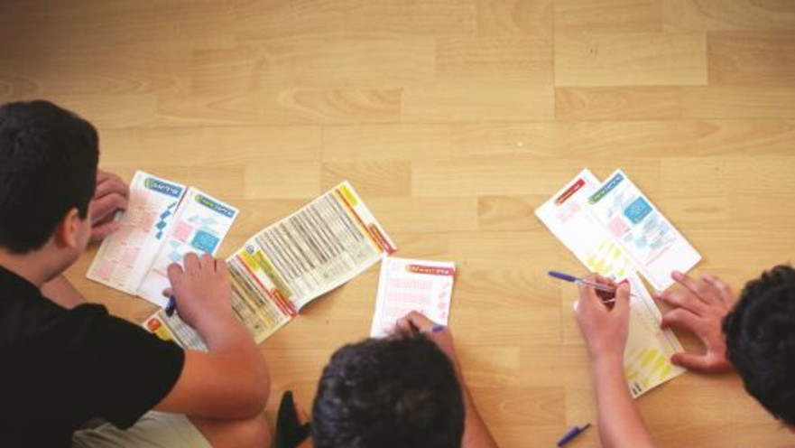 ווינר, טוטו, הימורים