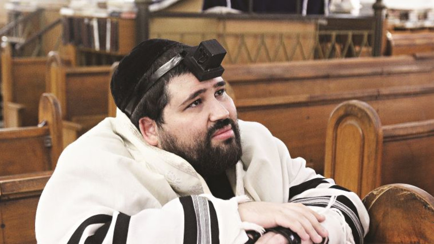 הרב ישראל שניאור