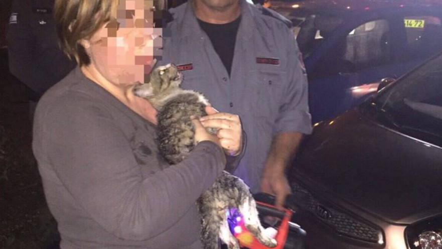 לוחמי האש מחלצים חתולה