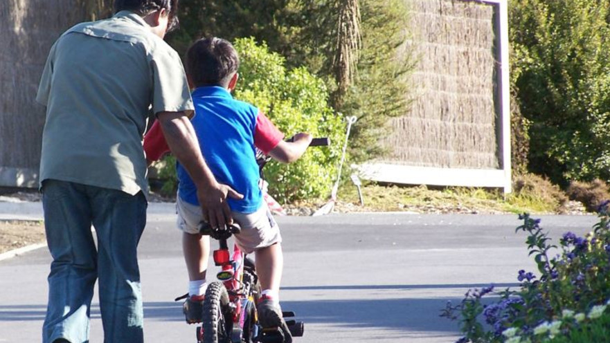 תומכים ודוחפים