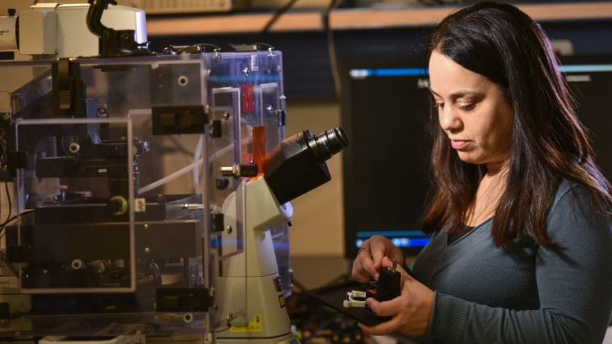 פרופ' שלי צליל במעבדתה בטכניון 