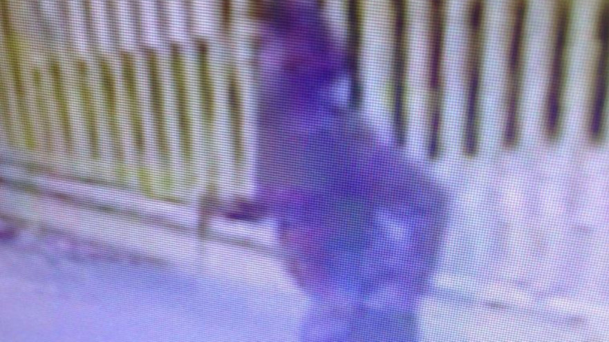 המחבלת בענתות