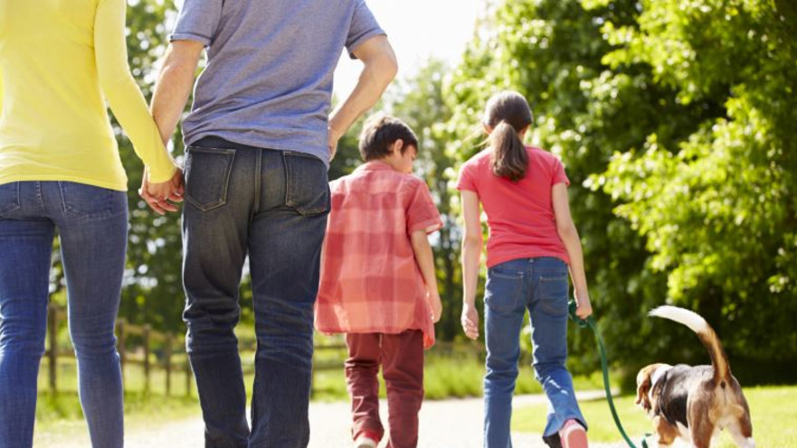 כלבים וילדים