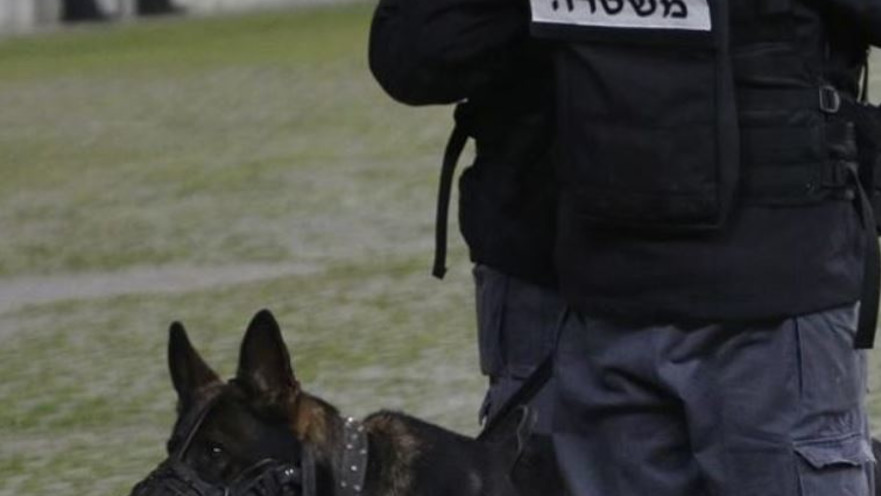 לא תמיד לטובת הציבור. משטרת ישראל. 