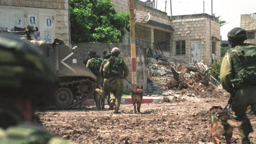 בקרב על ג'נין במהלך מבצע חומת מגן