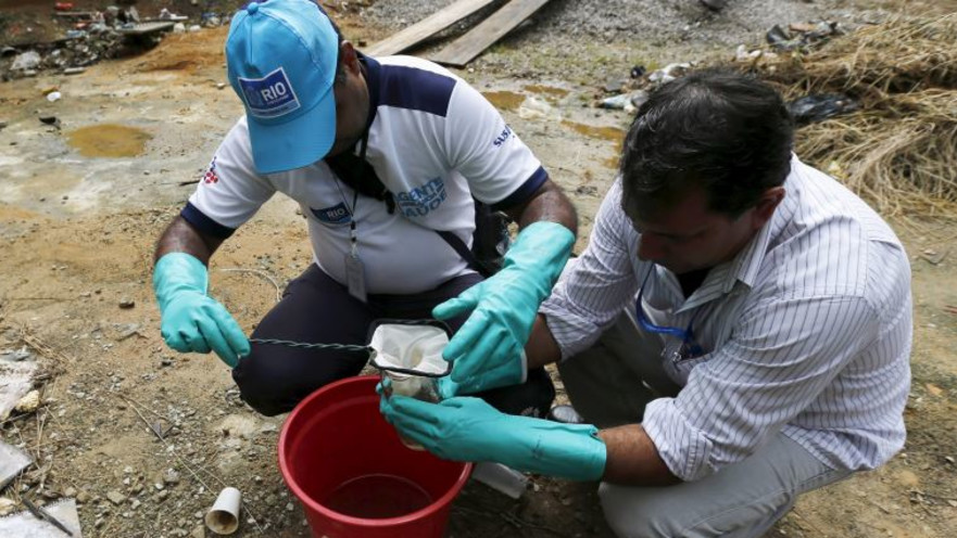 נלחמים בזיקה בריו, ברזיל