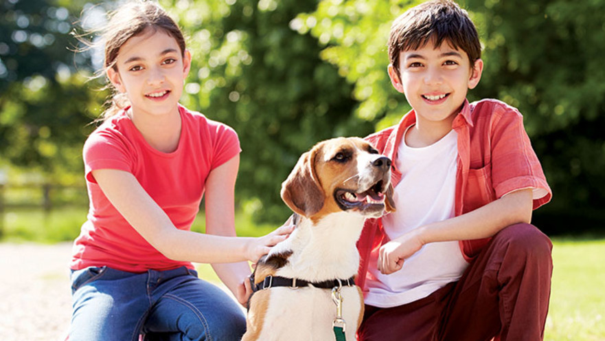 ילדים עם כלב, חיות מחמד