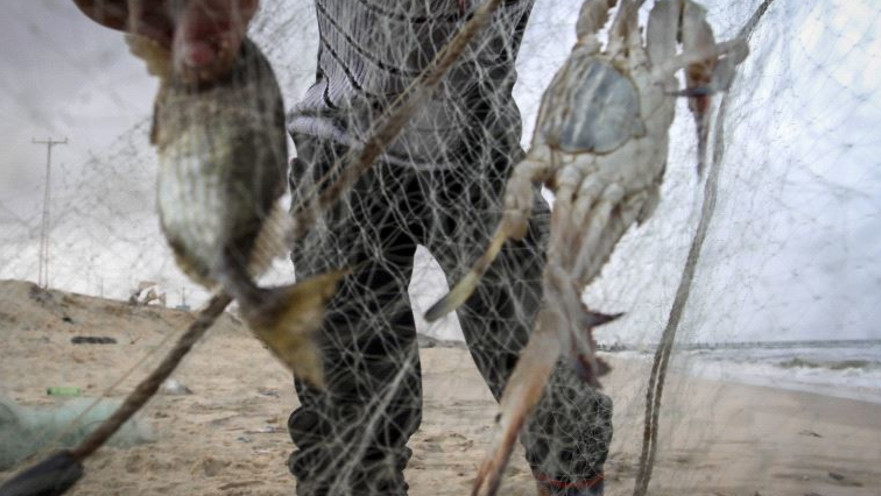 דייג. ארכיון